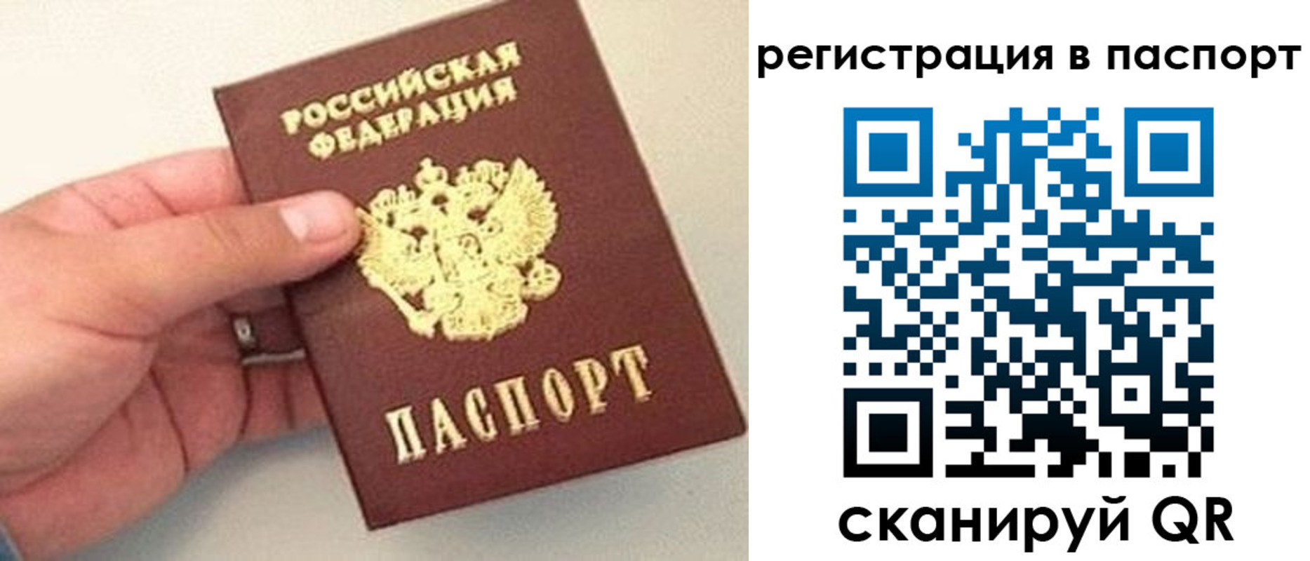 прописка законно в Вязьме